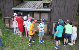 obraz_2026-06-08_191626837
