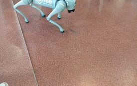 Messenger_creation_A386683F-EA12-4D9E-A628-3F03A25E5991.jpeg